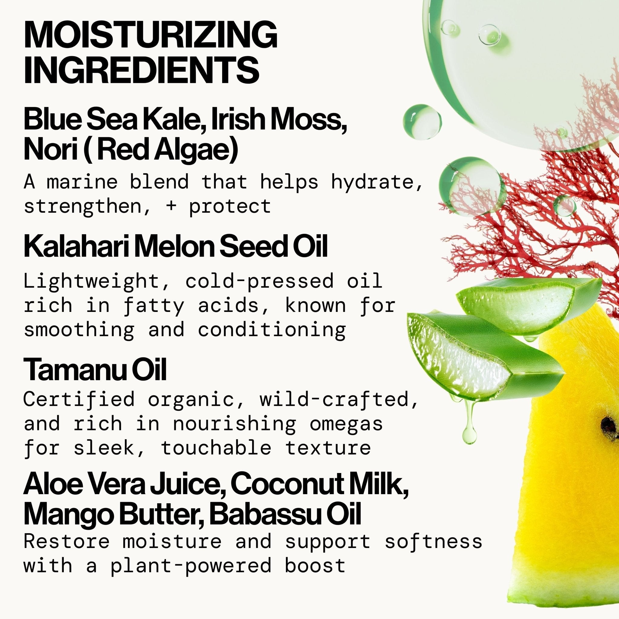Smooth Seas Style Prep Smoothie - Pacifica