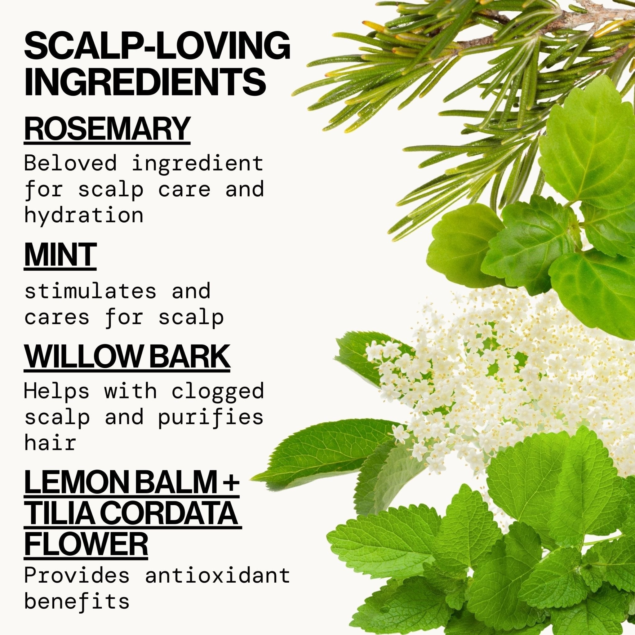 Rosemary Mint Scalp Love Foam Shampoo - Pacifica