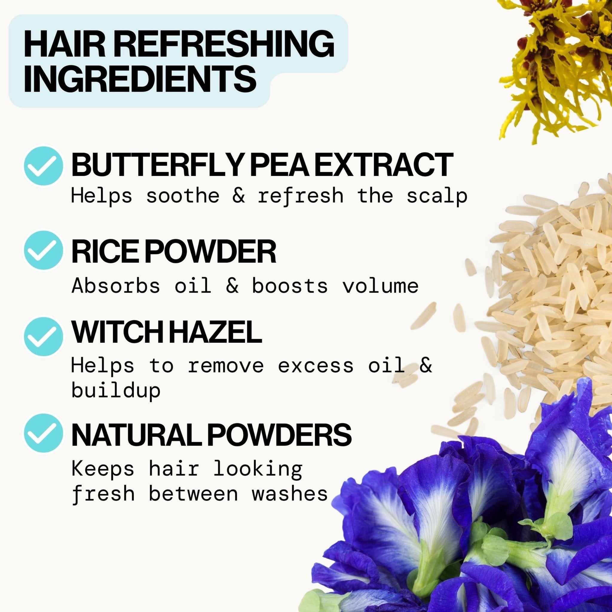 Best Day Ever Dry Shampoo - Pacifica